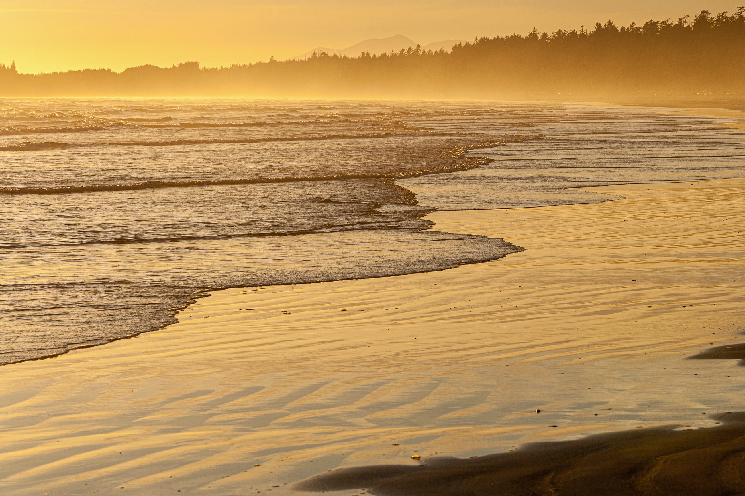 Golden sunset over tranquil beach waves.